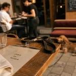 Restaurants acceptant les chiens en terrasse : chien en laisse au restaurant